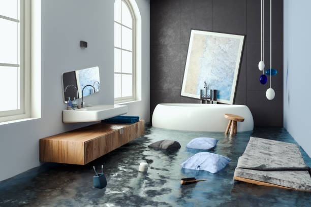 Best Professional water damage repair  in Coopersville, MI