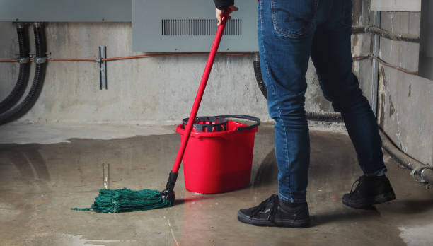 Best Sewage cleanup and water damage restoration  in Coopersville, MI
