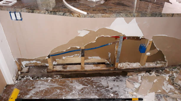  Coopersville, MI Water damage restoration Pros