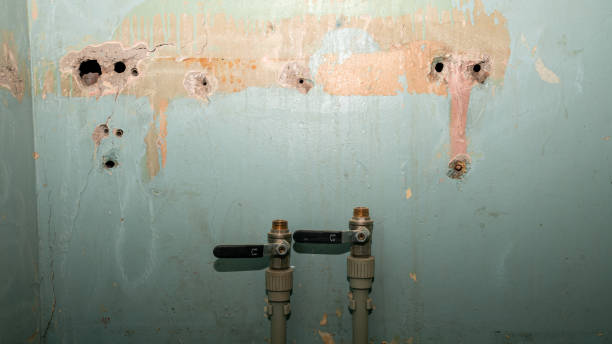 Best Ceiling water damage repair  in Coopersville, MI
